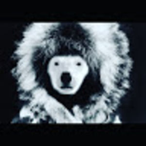 Meet your Posher, Rusty